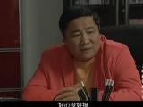 乡村爱情交响曲21