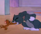 猫和老鼠 第24集 猫卡通