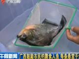 广西鼓励市民钓剿食人鱼每条悬赏千元