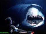 深海巨鲨3 高清完整版