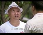 乡村爱情6第8集