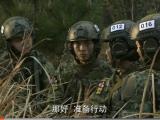 特种兵之火凤凰：第27集