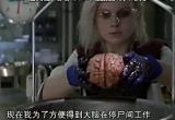 我是僵尸 3