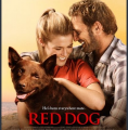 《红犬历险记》完整版