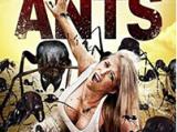 《蚂蚁杀手》高清版