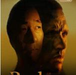 《撕裂的太阳》高清完整版